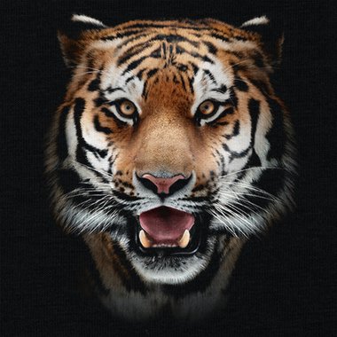 Stylisches Tiger-Shirt - Fr Kinder, Damen und Herren - Baumwolle in verschiedenen Gren