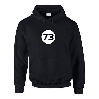 Hoodie 73 The Big Bang Theory grau-gruen 4XL