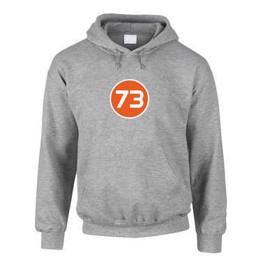 Hoodie 73 The Big Bang Theory grau-gruen 4XL