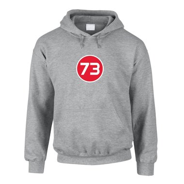 Hoodie 73 The Big Bang Theory grau-gruen 4XL