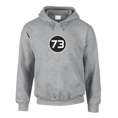 Hoodie 73 The Big Bang Theory grau-gruen 4XL