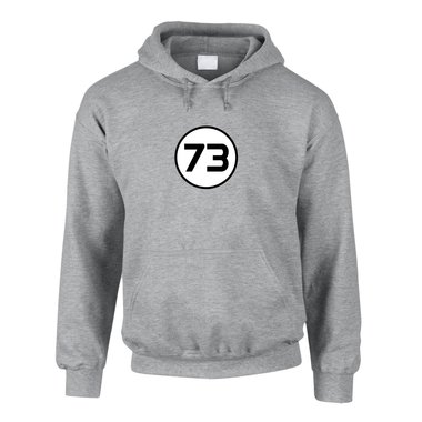 Hoodie 73 The Big Bang Theory grau-gruen 4XL